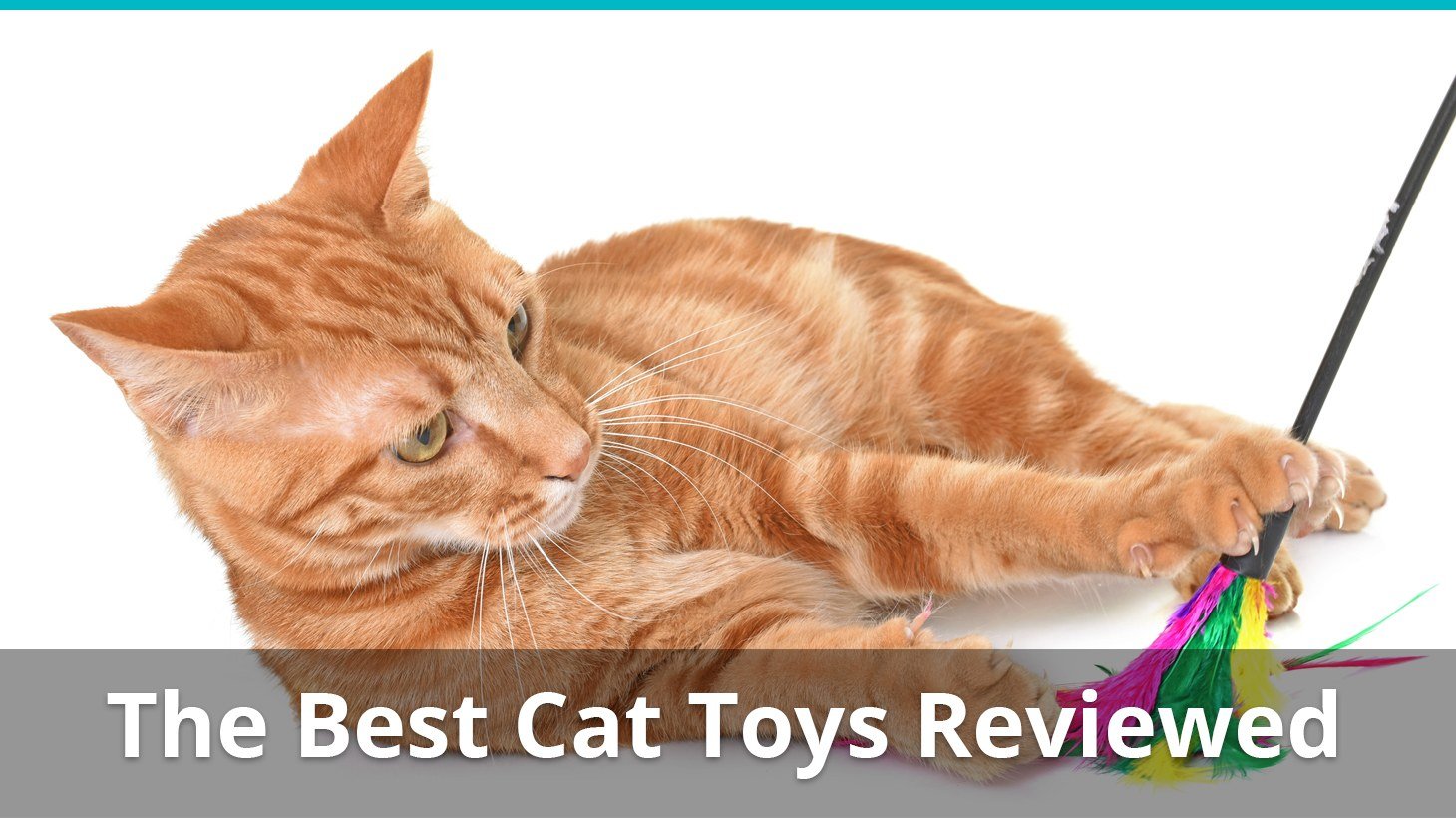 toys to keep cats busy