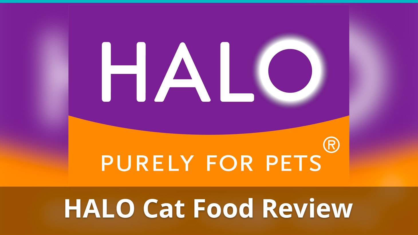 halo cat food