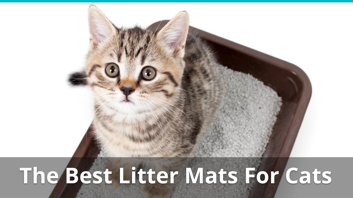 best litter catching mat