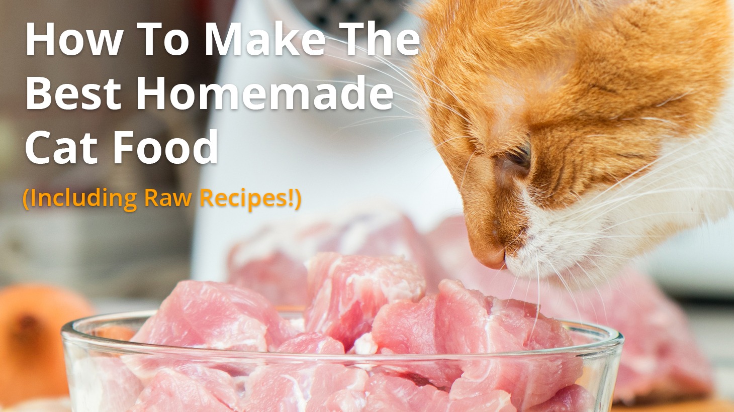 Best Homemade Cat Food Recipes | Raw or Cooked, Make Your Own!