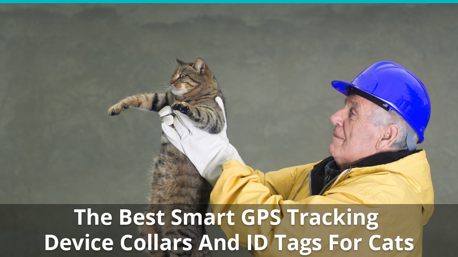 best cat collar with gps