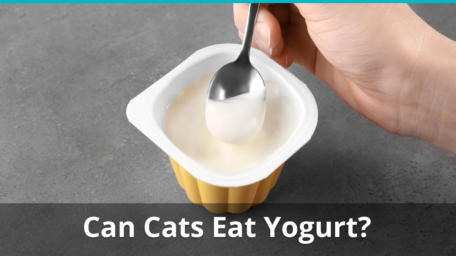 Can Cats Eat Yogurt Is It Safe And Good Or Bad For Them