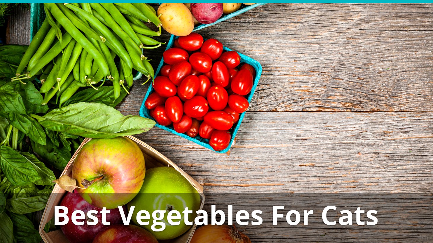 Best Vegetables For Cats: Can They Eat 
