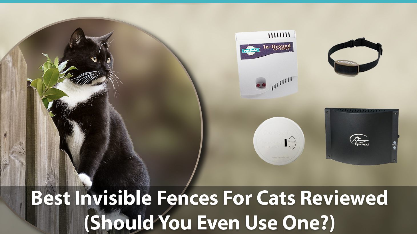 Best Invisible Fences For Cats Reviewed 