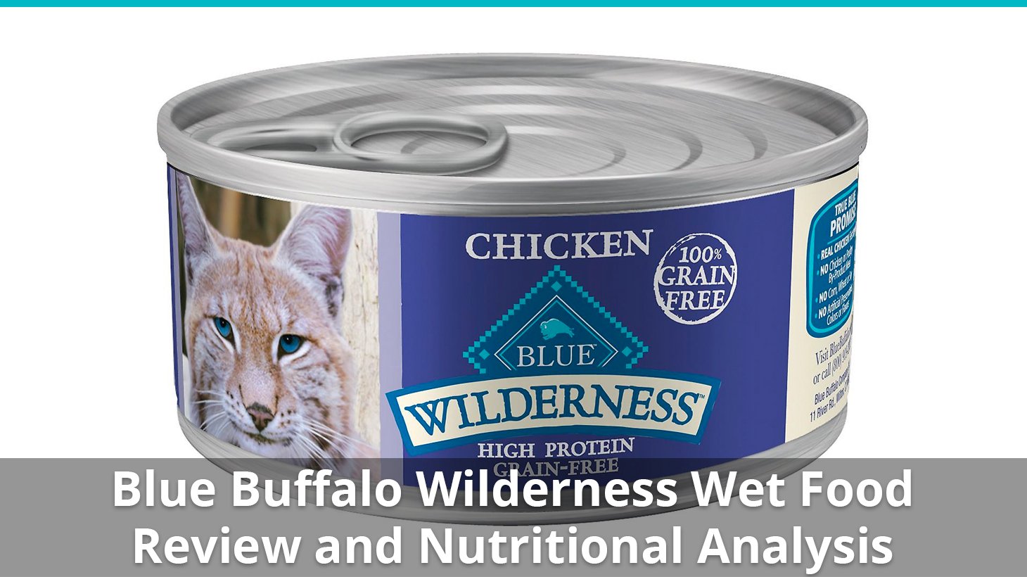 Blue Buffalo Wilderness Cat Food (Wet 