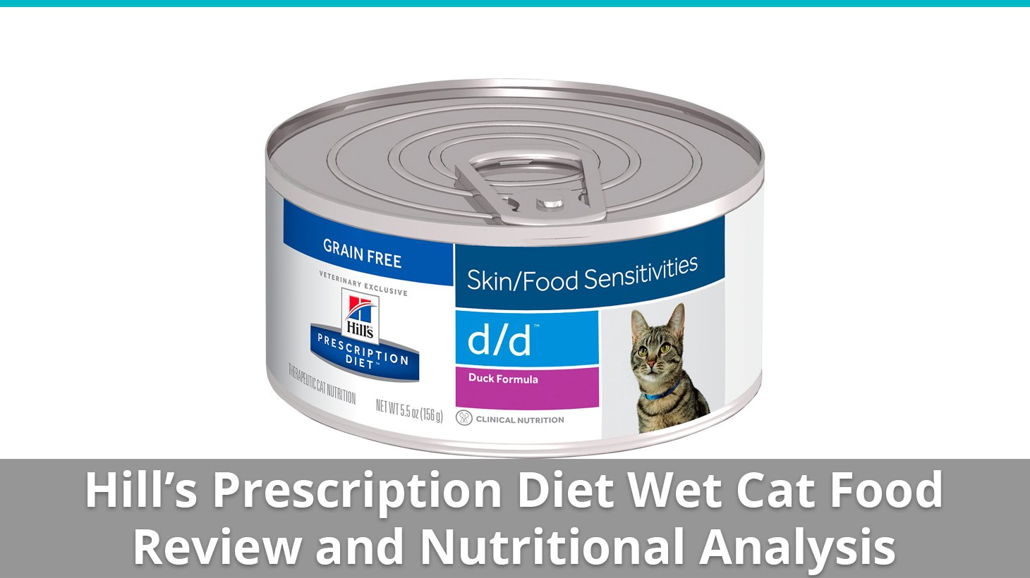 diet wet cat food