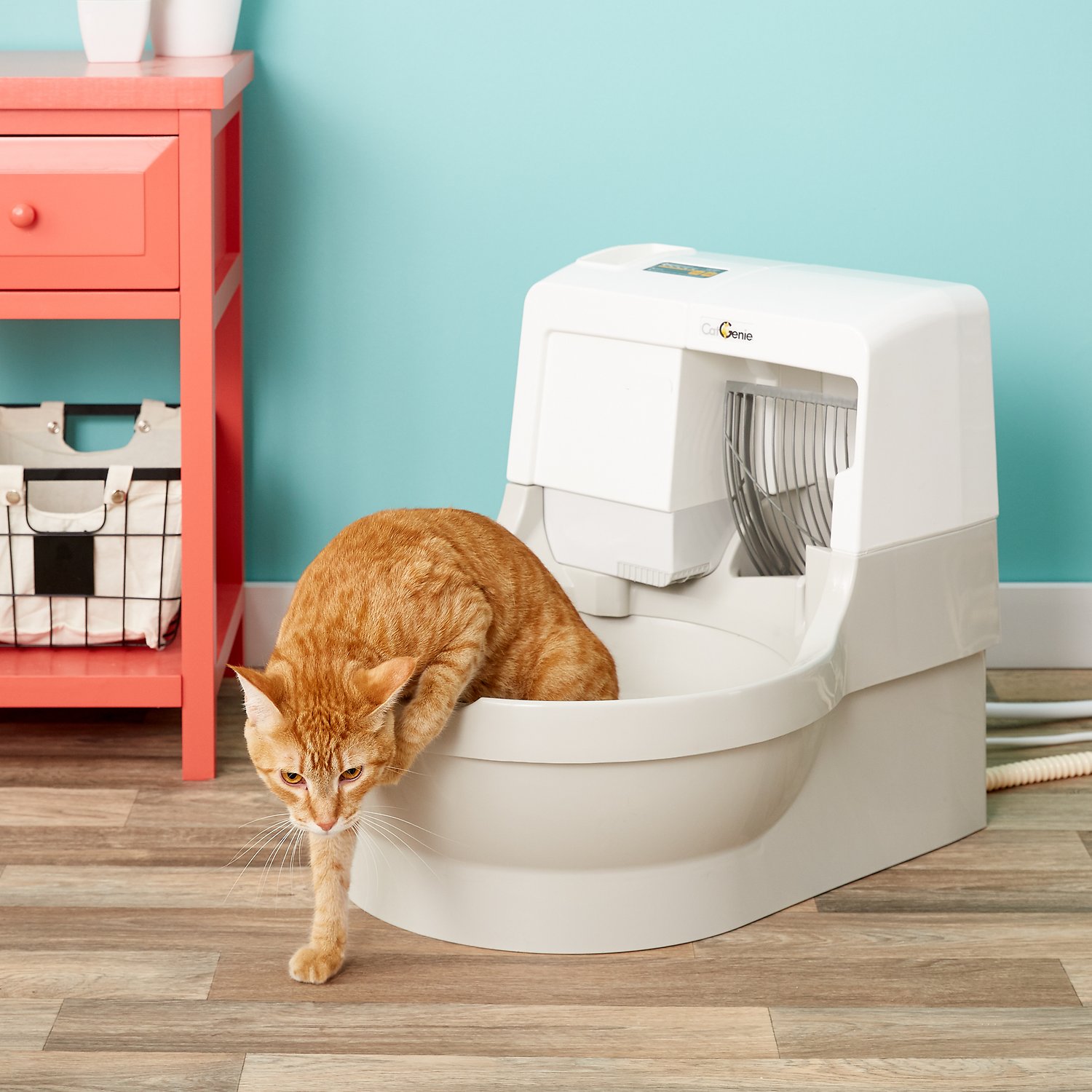 automatic cat litter box cleaner